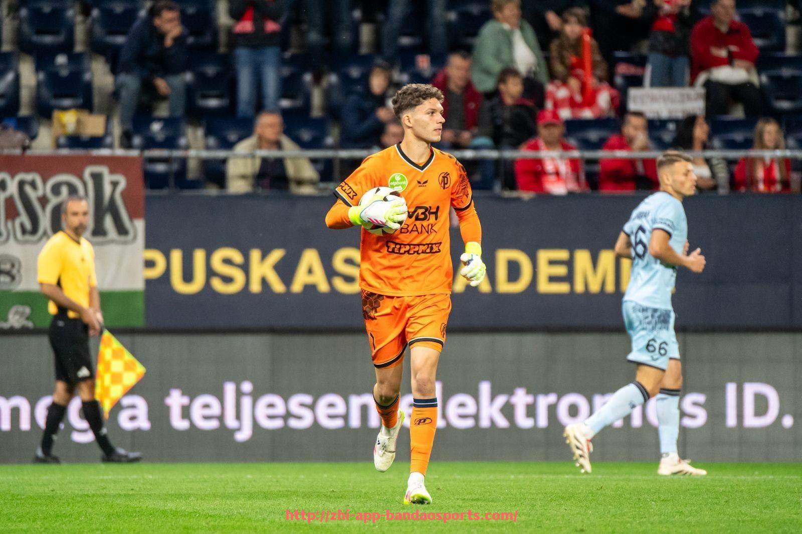 半岛体育app-世俱杯商业合作收益分配机制解析:利益平衡与合作稳定性的关键