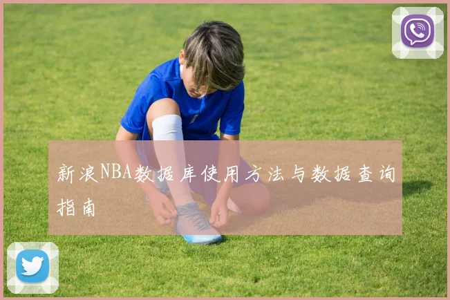 新浪NBA数据库使用方法与数据查询指南