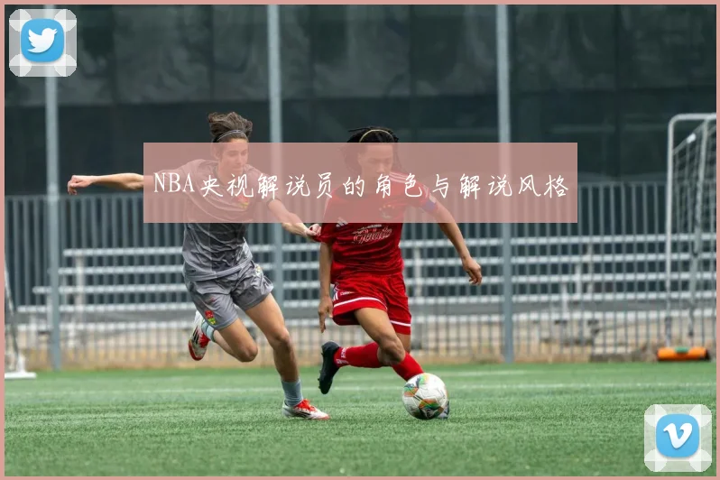 NBA央视解说员的角色与解说风格