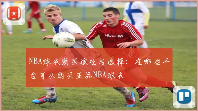 NBA球衣购买途径与选择：在哪些平台可以购买正品NBA球衣