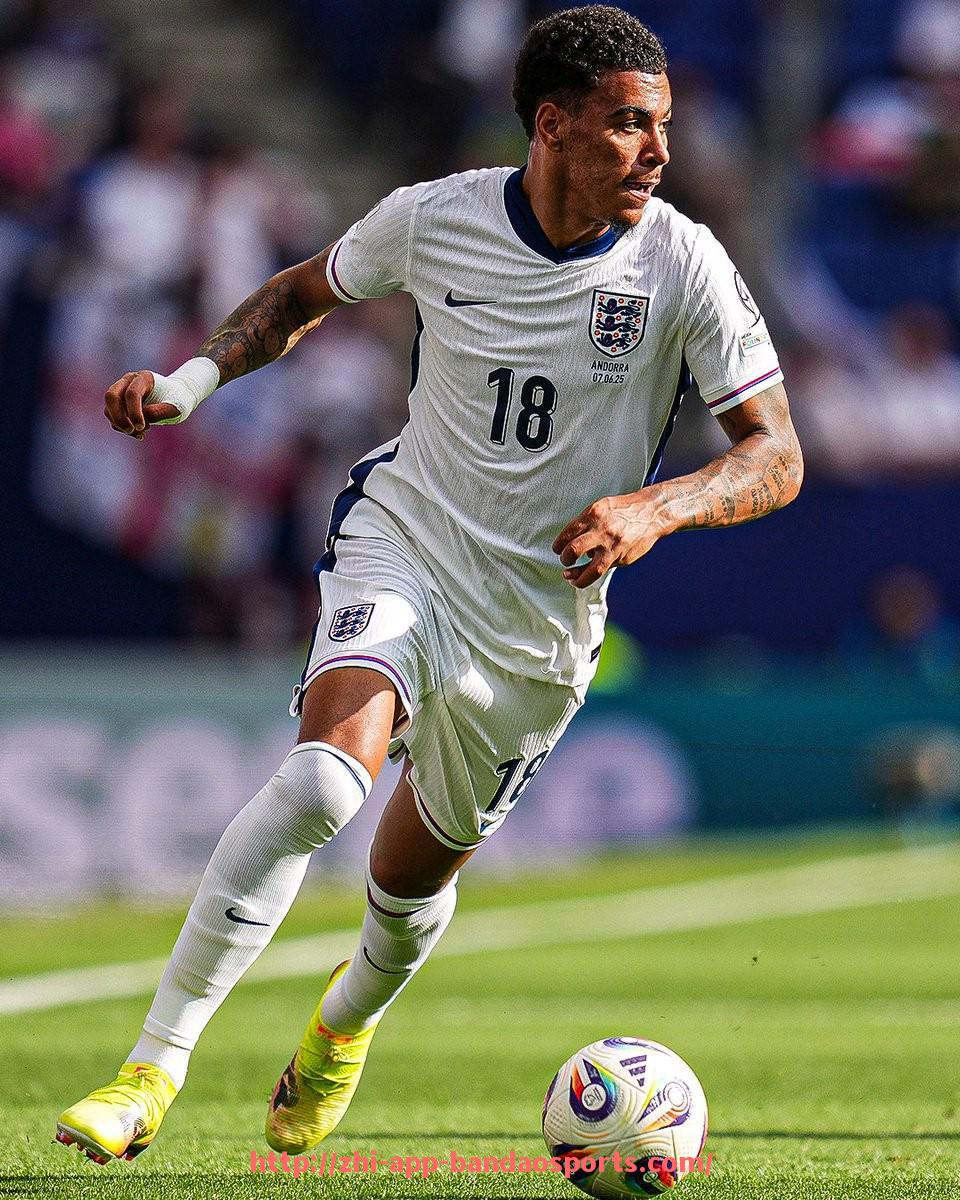 半岛体育app-世俱杯国际足联应急裁判调度机制与临场支援系统